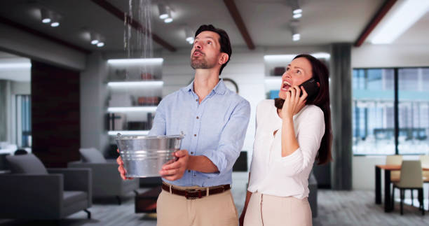 Best Ceiling water damage repair  in West Jefferson, OH
